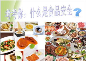 我的飯堂我做主 學生膳食管理小組帶你走進電職廚房餐飲管理